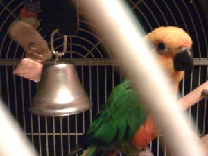 img_0366 img_0366