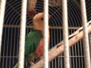 img_0367 img_0367